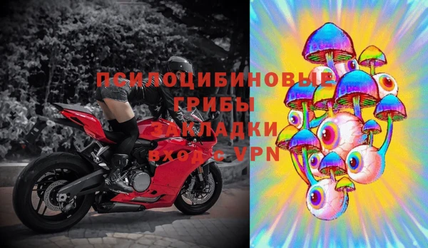 сатива Алексеевка